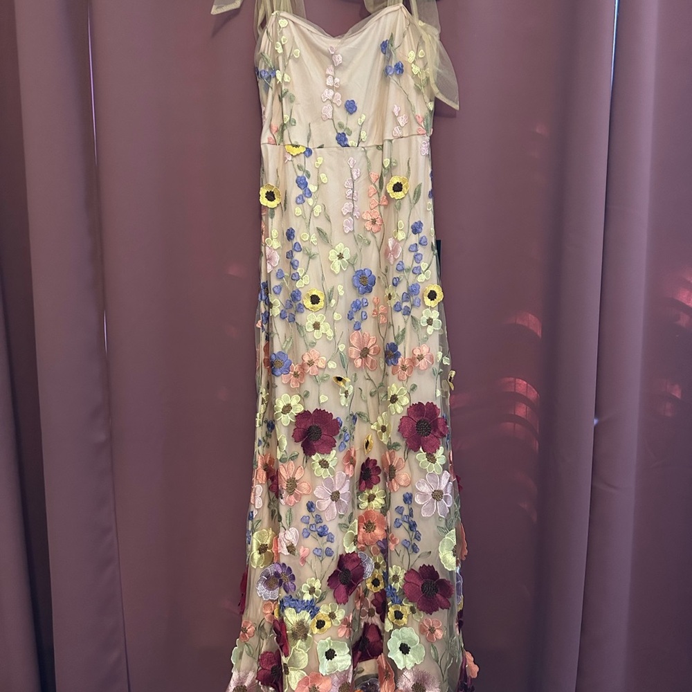 Thriving Poise Blush 3D Floral Embroidered Tie-Strap Maxi Dress - Picture 2 of 4